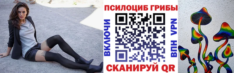 Галлюциногенные грибы Psilocybine cubensis Онега